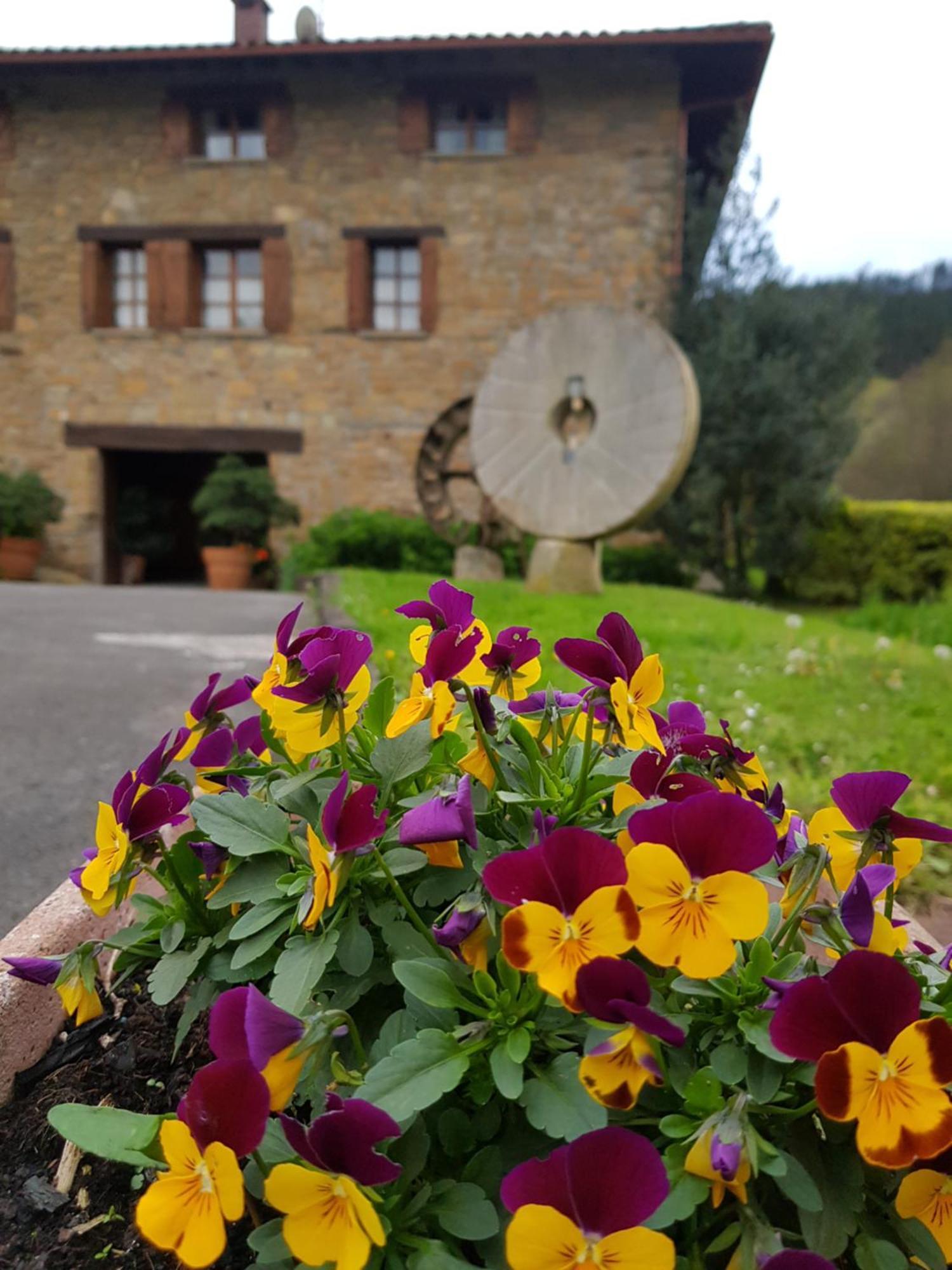 Agroturismo Iberreko Errota Muxika Exterior foto
